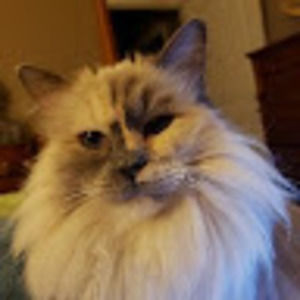 Meet your Posher, Terri